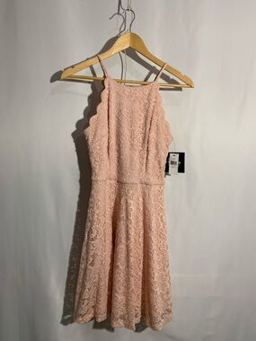 by & by Blush Pink Lace Midi Dress